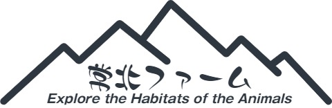 昆虫専門店　常北ファーム