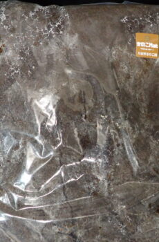 きのこマット10L